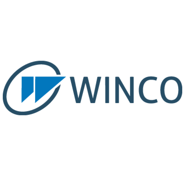 Winco DDNS Pro 1 Subdomínio + Suporte 1 Ano