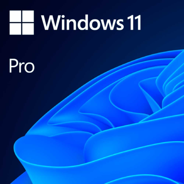 Licença OEM Windows 11 Pro 64Bit PT-BR DVD FQC-10520